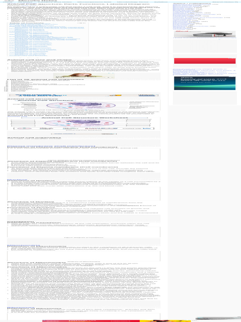 Animal Cell Structure Parts Functions Labeled Diagramuuuuu Pdf