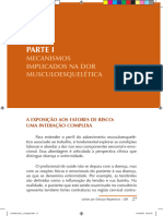Assunção, Vilela 2009 - Mecanismos Implicados Na Dor (PARTE I de Lesões Por Esforços Repetitivos)