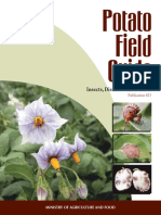 Potato Field Guide