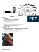 Inestabilidad de Rodilla