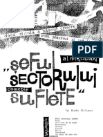 Alexandru Mirodan - Seful Sectorului Suflete