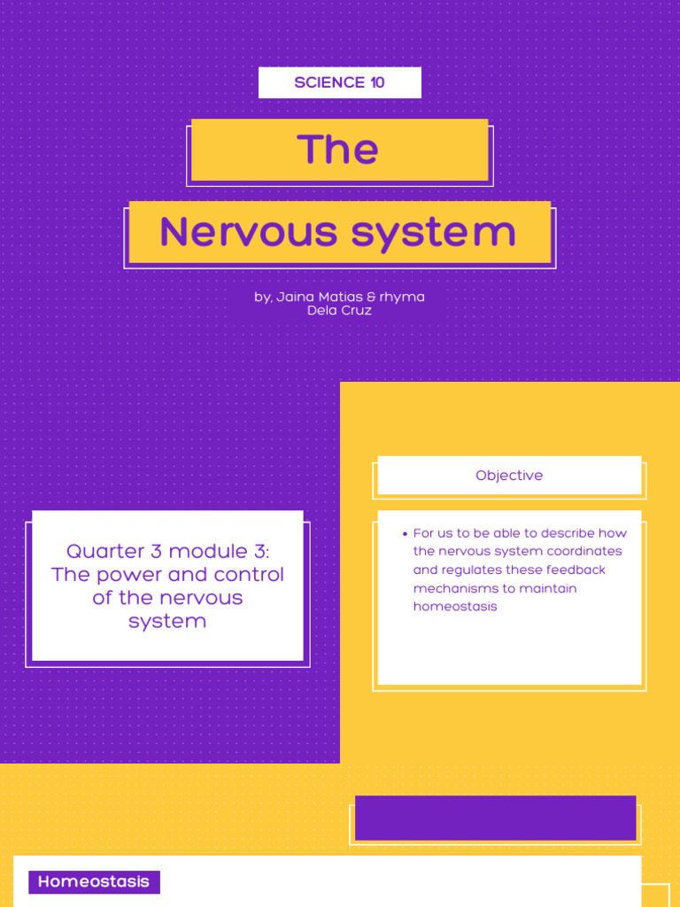 Nervous System and Homeostasis Explained | PDF | Nervous System ...