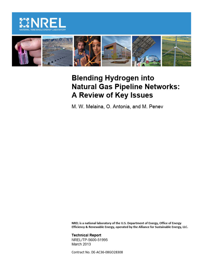 Hydrogen Blending in Natural Gas Networks | PDF | Natural Gas | Biogas