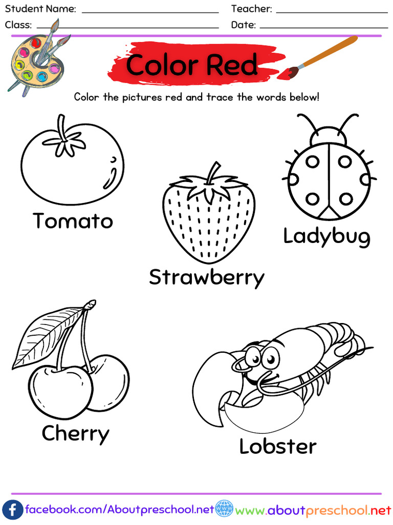 Color Tracing Worksheets for Kids | PDF