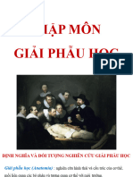 Nhập Môn Giải Phẫu Học