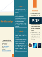 Brochure MS Geoinformatique