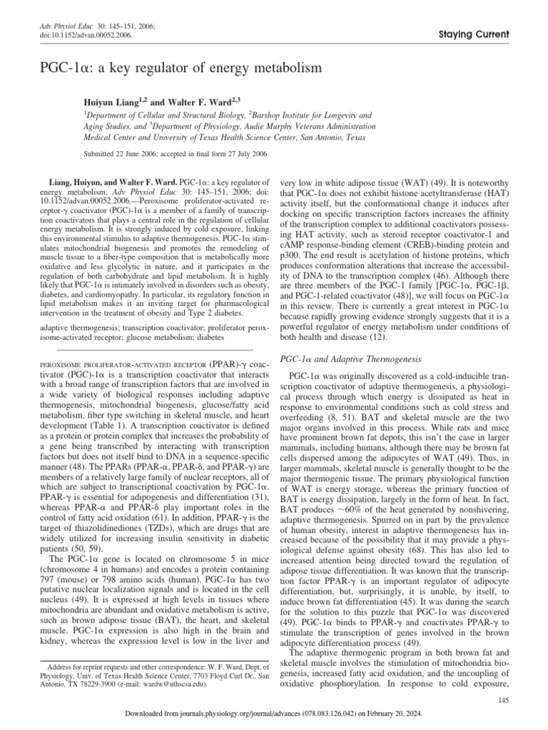 Liang Ward 2006 Pgc 1α a Key Regulator of Energy Metabolism | PDF ...