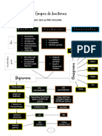 Grupos de Bactérias Resumo