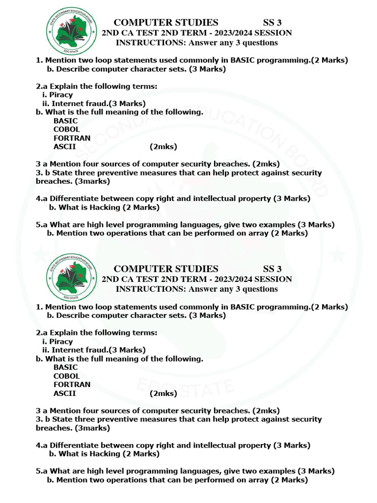 Computer Studies Test: Programming & Security | PDF