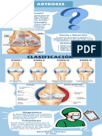 Infografía - Artrosis