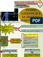 Tejido Linfatico y El Sistema Inmunitario