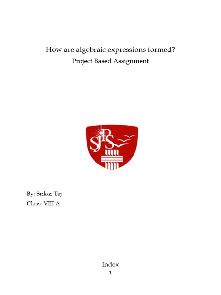 What Are Algebraic Expressions | PDF