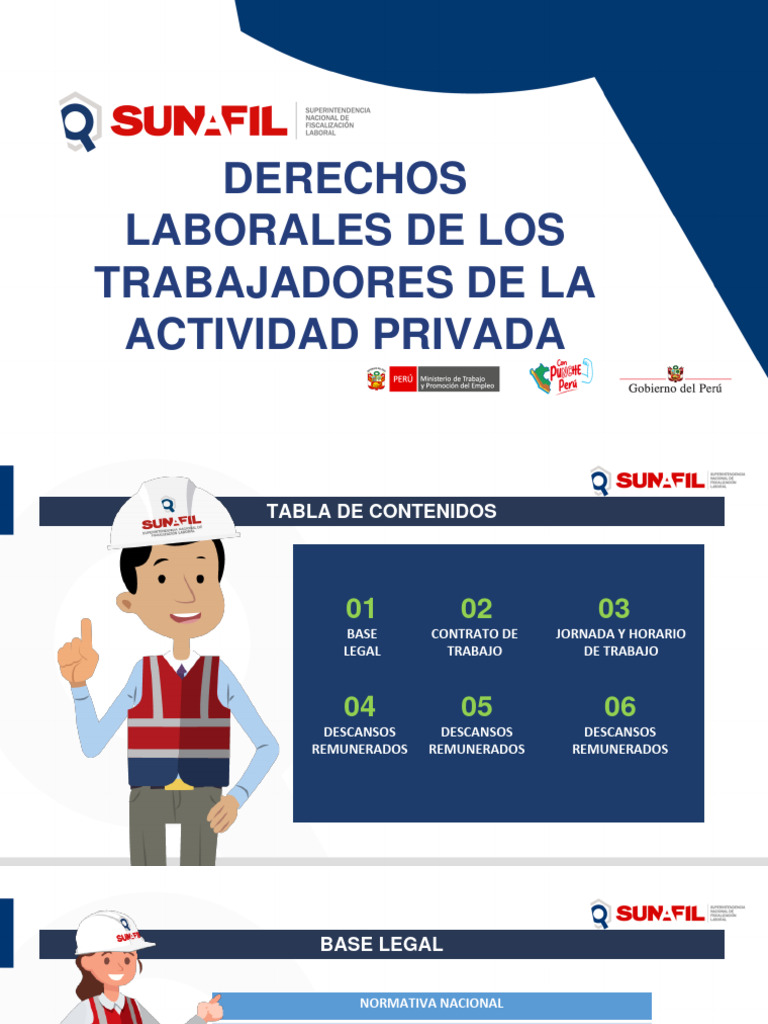 Derechos Laborales en el Sector Privado | PDF