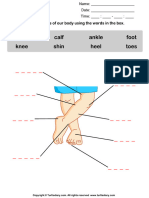 Body Parts Worksheet