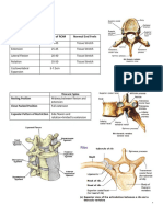 Thoracic Spine Worksheet Filled in