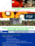 Renovacion de Plantaciones en Palma 
