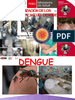 Organizacion Ss y Manejo Clinico Del Dengue Resumido - Alfredin 2023 - Ultimo Resumido Febrero 2024 Callao