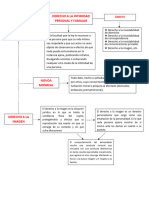 Derechos Relacionados A La Casacion