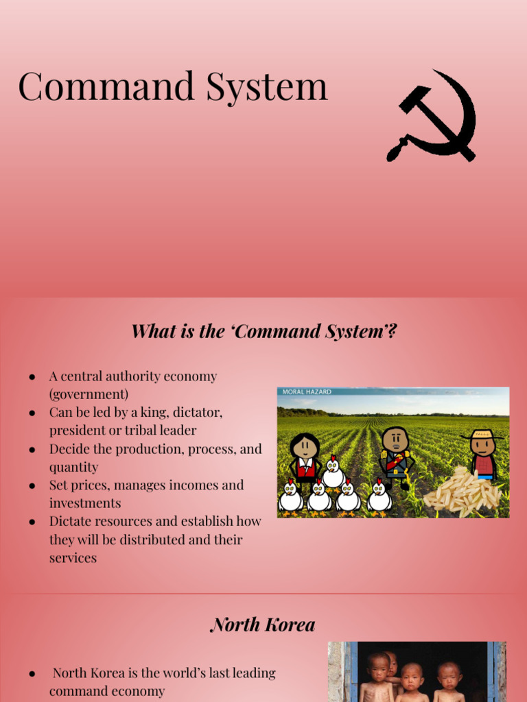 Understanding Command Economies | PDF | Economics | Profit (Economics)