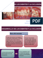 DESARROLLODELADENTICION