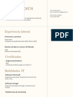 Cream Brown Simple Web Developer CV