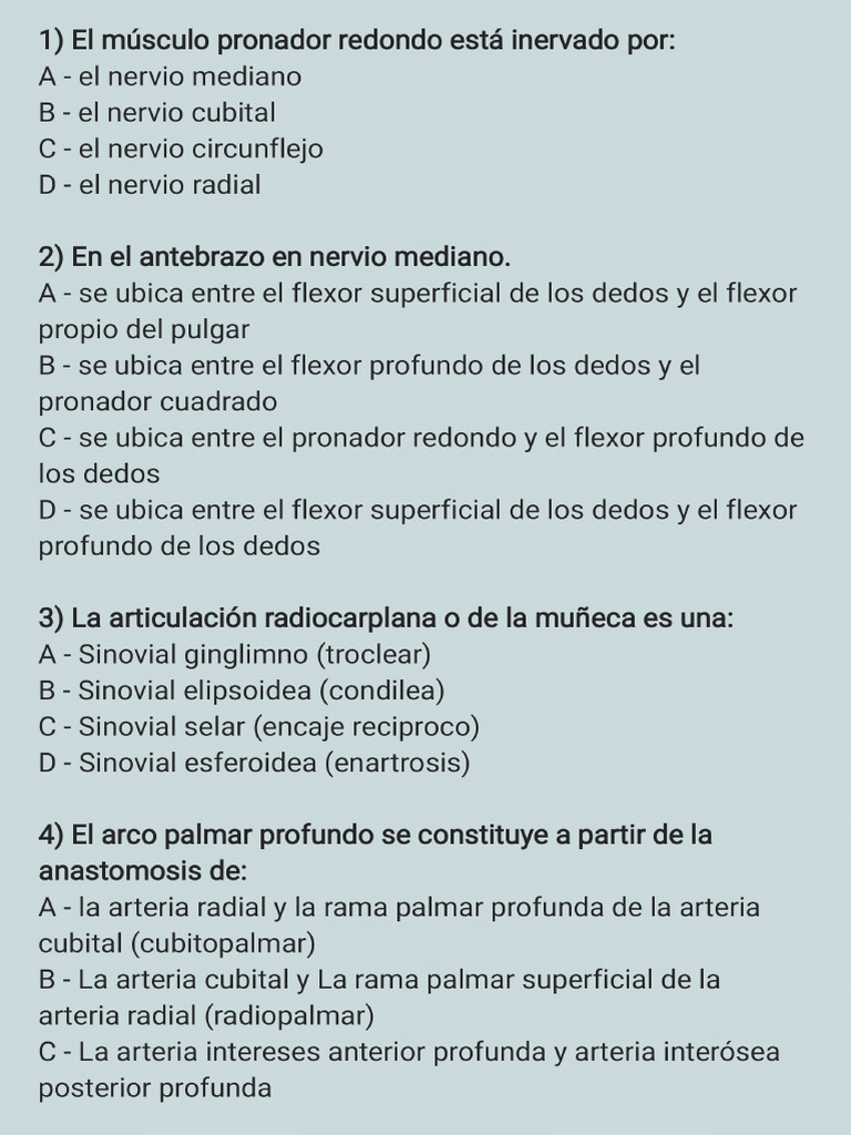 Prova De Anatomía 1era 2022 220531 015259 Pdf