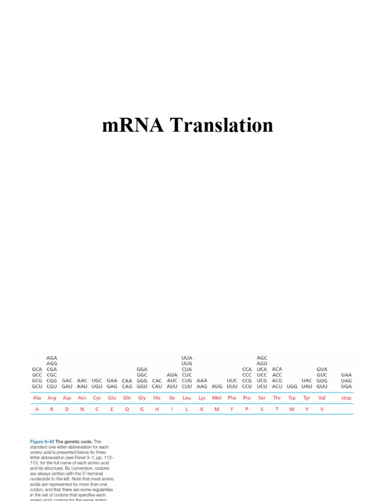 Mol Gen 1st 02-03 26-27 | PDF