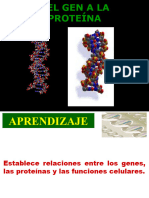 Introducción A Los Ácidos Nucleicos