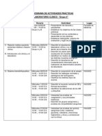 CRONOGRAMA DE ACTIVIDADES PRÁCTICAS Grupo 4