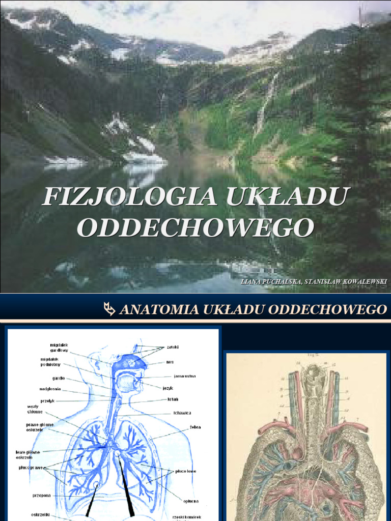 uklad-oddechowy-pdf