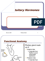41 - Anterior Pituitary04