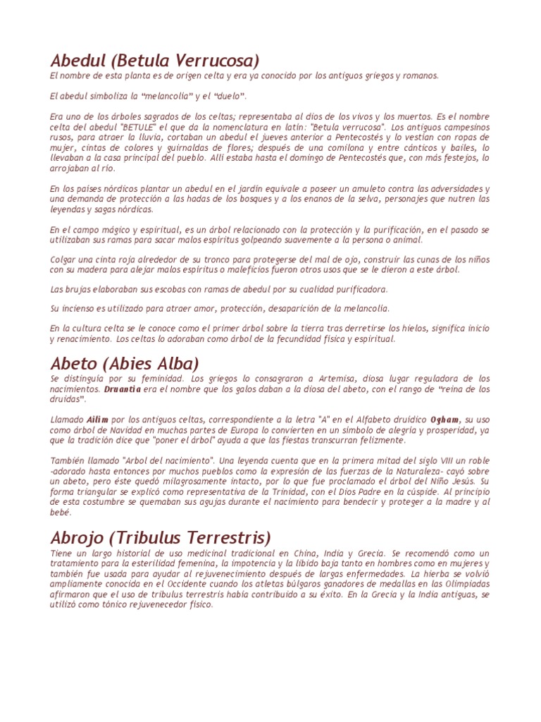 Botanica Oculta Y Leyendas1 Pdf Ajo Plantas