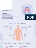 Sistema Endocrino - Anatomo
