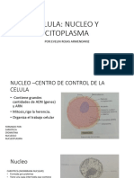 Célula: Núcleo y Citoplasma