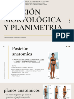 Posicion Morfologica y Planimetria