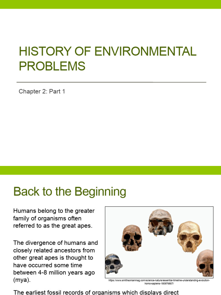 Evolution of Humans and Environmental Impact | PDF | Homo | Human