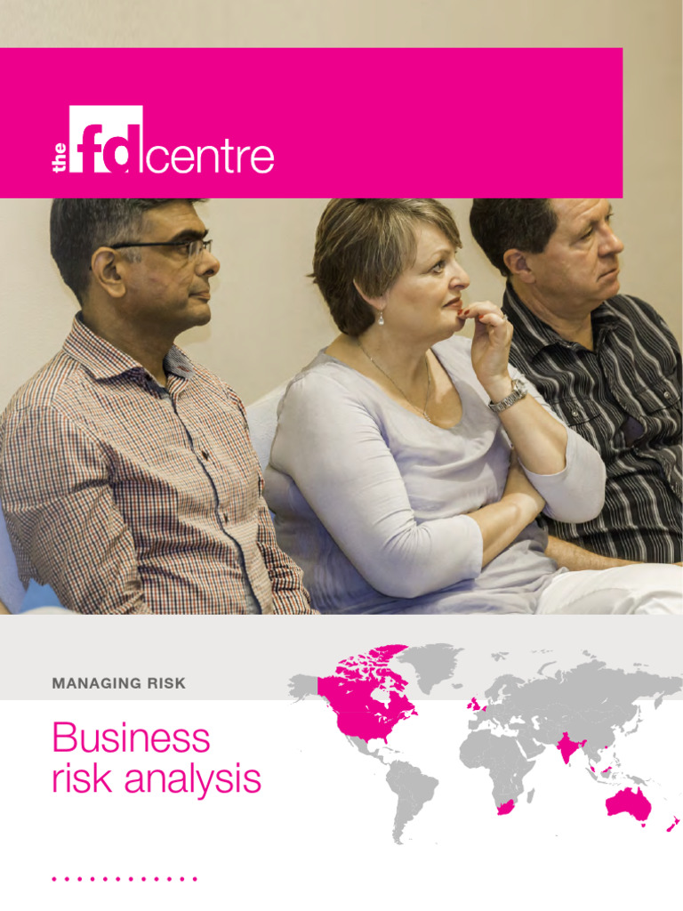 Report Risk Analysis | PDF | Risk | Risk Management