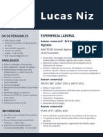 CV Lucas Niz - 2024