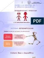 Generalidades Del Sistema Osteoarticular y Muscular