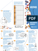 Triptico Medicamento Antiflamatorio