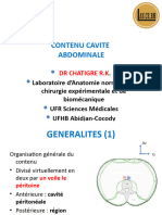 ANATOMIE E L'ESTOMAC - Copie