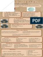 INFOGRQAFIA