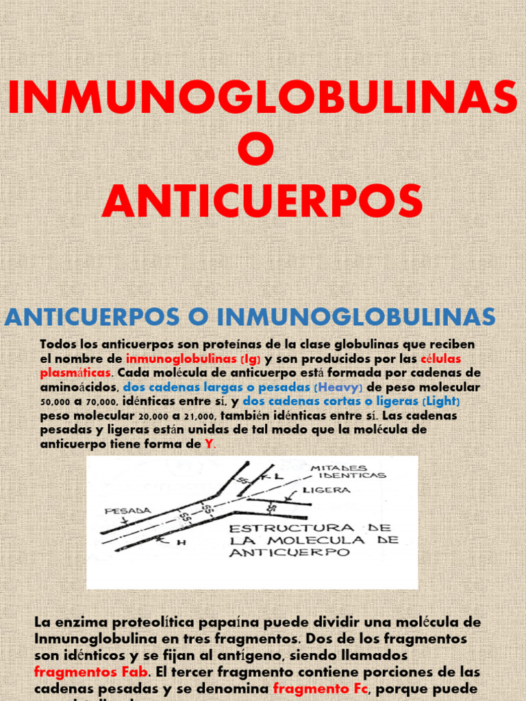 7-anti-cuerpos-pdf-anticuerpo-inmunoglobulina-g