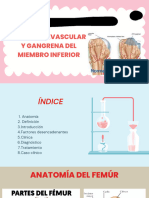 Necrosis Avascular y Gangrena Del Miembro Inferior