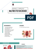 Seminario 3 - Nefrotoxicidad - Nefrologia