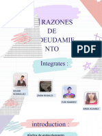 Razones de Endeudamiento (Grupo 1)