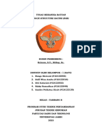 Terbaru - Tugas Tambahan - Kelompok 1 - Mekanika Batuan - Rock Structure Rating (RSR)