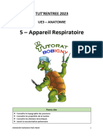 Appareil Respiratoire