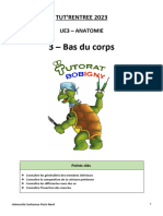 Bas Du Corps