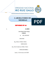 LM Informe 8